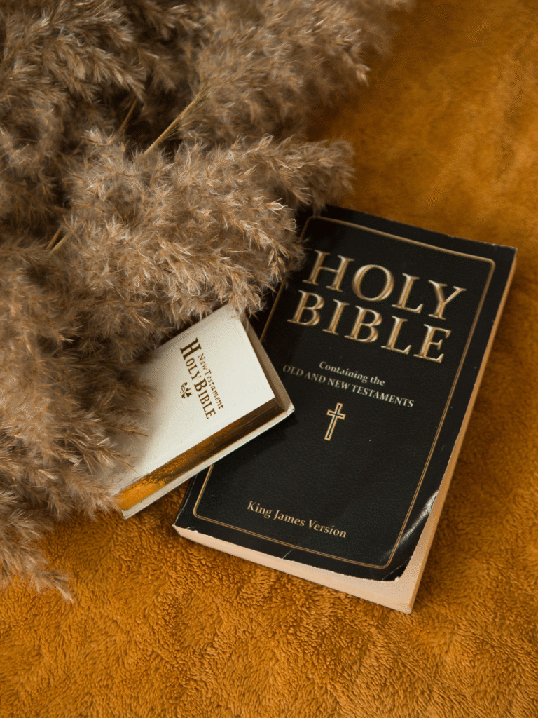 Burden Of Souls Ministries holy bible